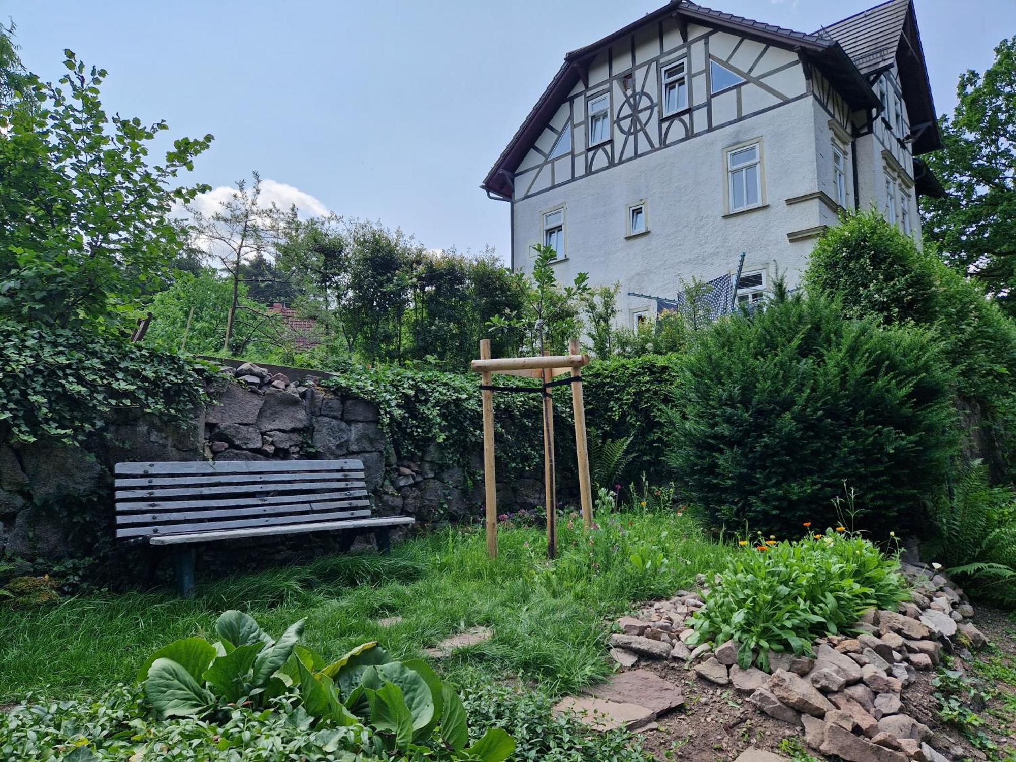 Ferienwohnung Im Logierhaus Villa Ihler Luisenthal Exterior photo